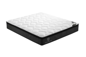 طريقة التعرف على أنواع المراتب الاصلية 2 P2A8321 copy 600x400 1